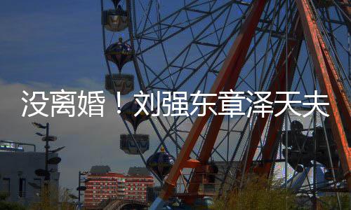 刘强东章天没离新公泽天婚夫妇强成立司